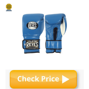 Best Boxing Gloves for Heavy Bag
