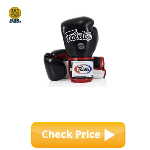 Fairtex BGV1 Boxing Gloves for Beginner