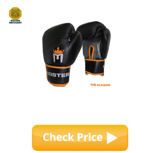 Meister Boxing Gloves for Beginner