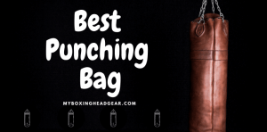 8 Best Punching Bag 2022-For Boxing Training in Home Gym