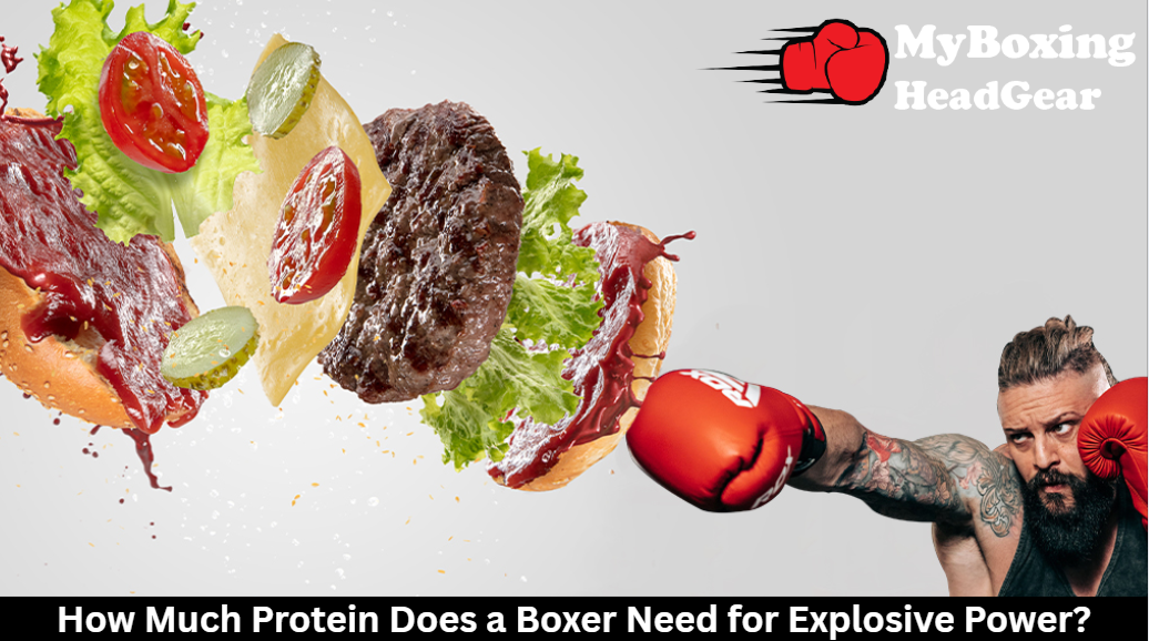 How Much Protein Does a Boxer Need