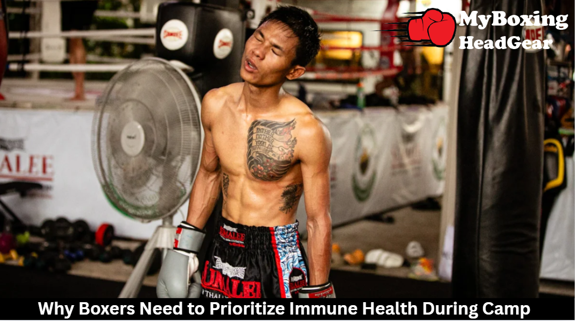 Boxers Need to Prioritize Immune Health