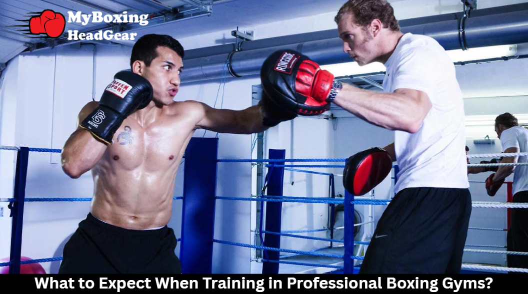 Training in Professional Boxing Gyms